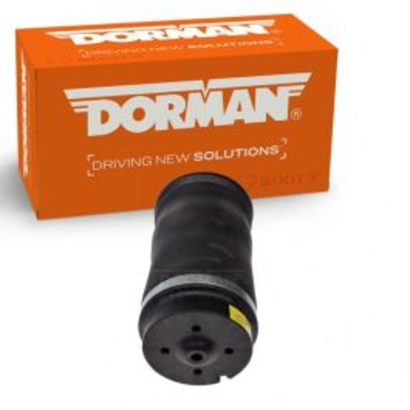 Dorman Rear Left Air Suspension Spring for 2018 Mercedes-Benz GLE550