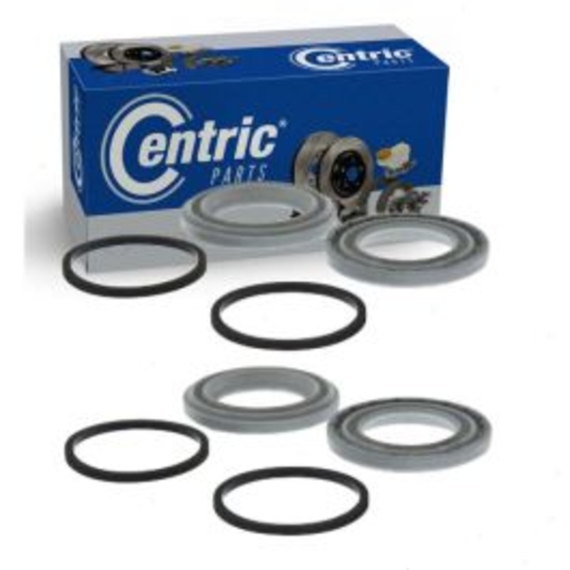 2 pc Centric Premium Rear Brake Caliper Repair Kit for 2002-2006 Chevrolet Avalanche 2500