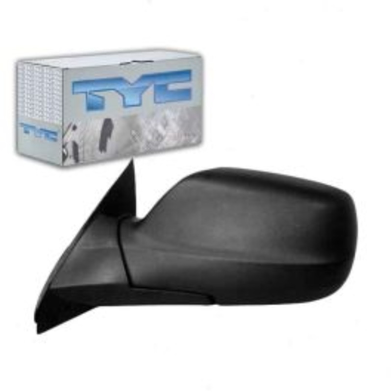 TYC 4120542 Door Mirror