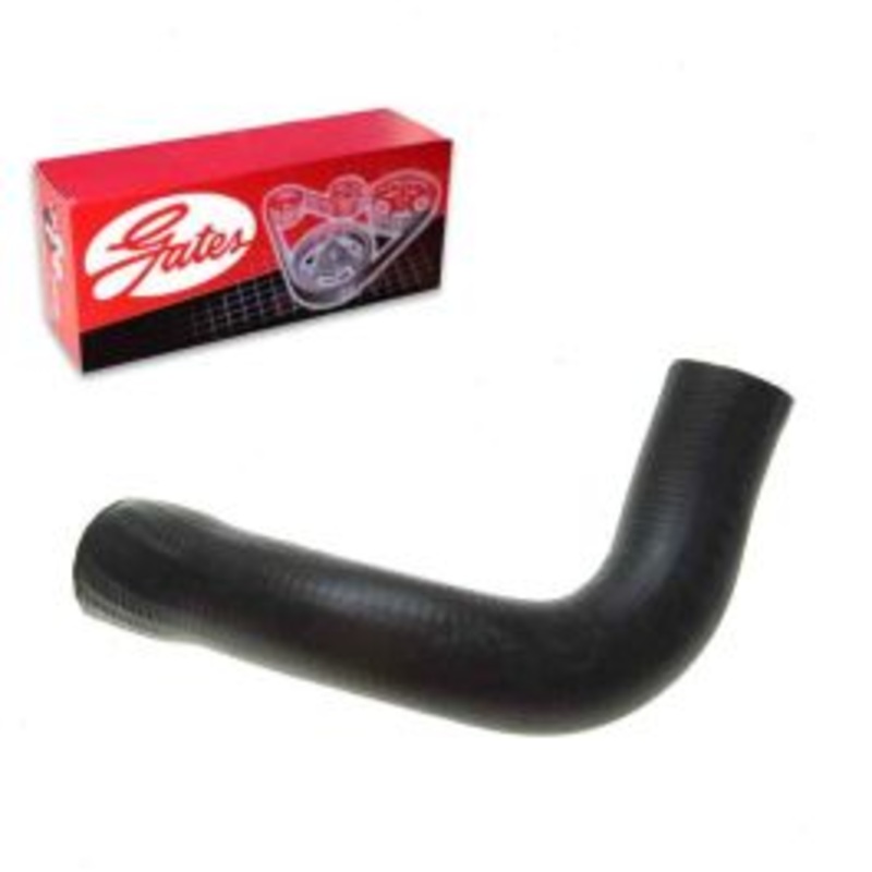Gates Lower Radiator Coolant Hose for 1965 Oldsmobile 442 6.6L V8