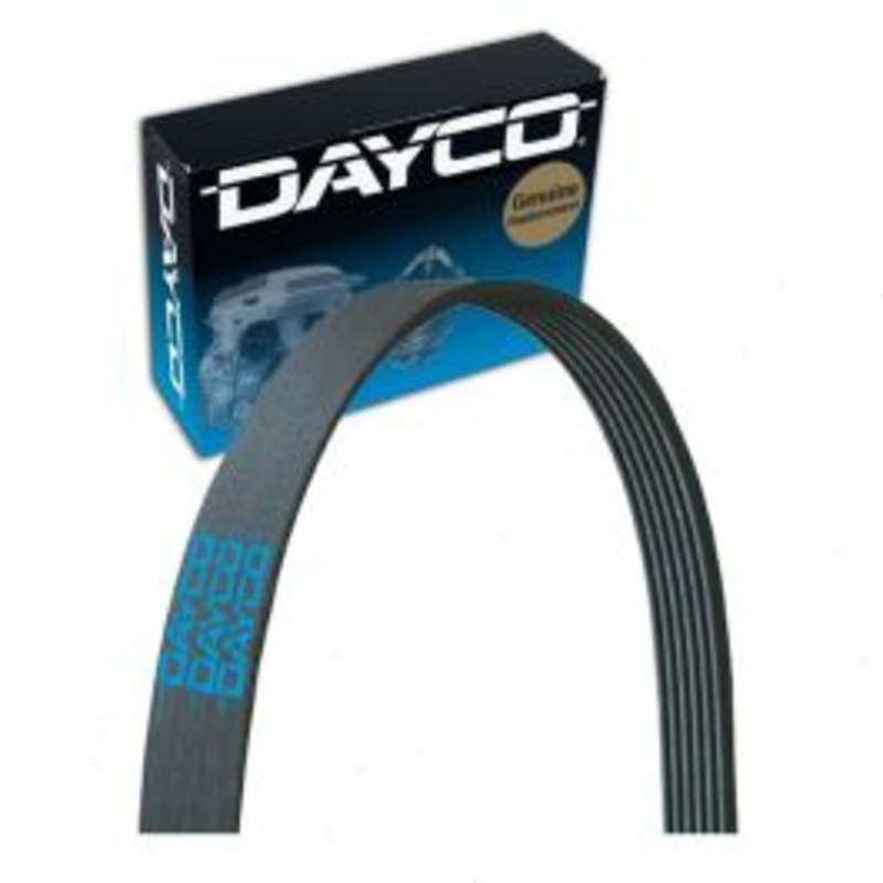 Dayco 5060995 Serpentine Belt