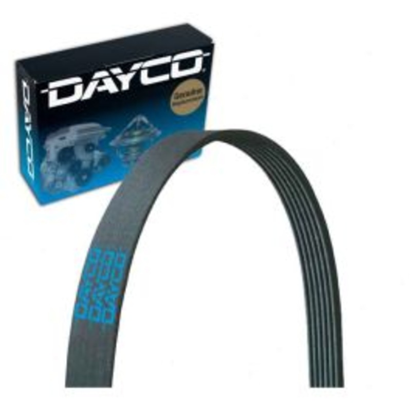 Dayco 5030295 Serpentine Belt