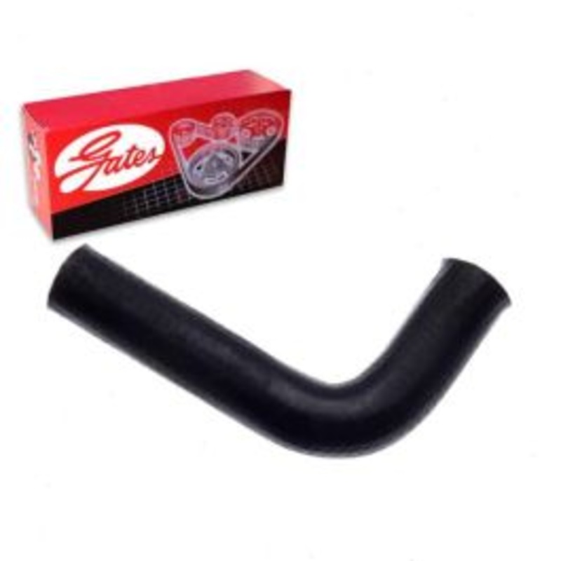 Gates Lower Engine To Pipe-1 Radiator Coolant Hose for 1996 Infiniti Q45 4.5L V8