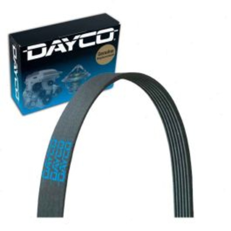 Dayco 5050510 Serpentine Belt