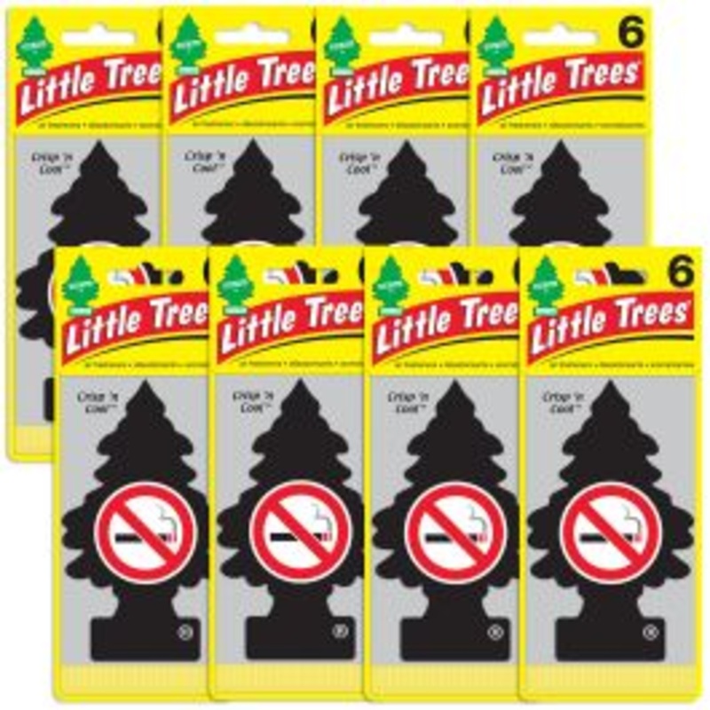 Little Trees No Smoking Air Freshener for Car and Home - 48 pack
